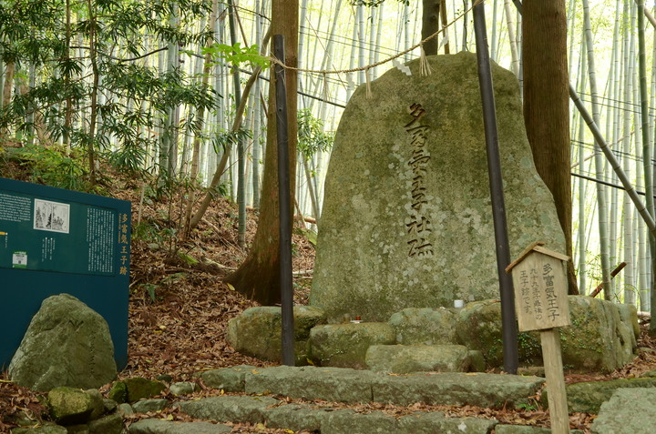 紀伊半島自駕遊-世界遺產巡禮2/4(本州最南端、潮岬、熊野古道、那智瀑布、日本第一大鳥居、伊勢神宮、夫妻岩)