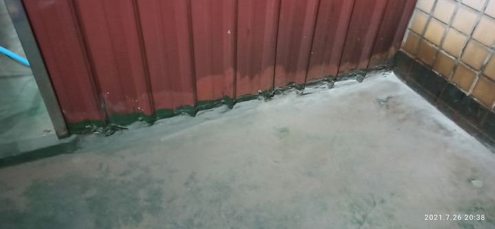 得利倍剋漏頂樓防水施作分享
