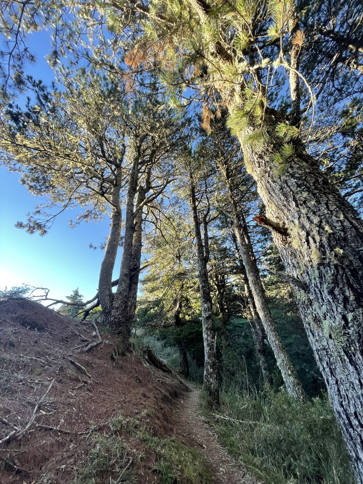 點我看大圖 被悶壞的半日包場南湖大山第一人稱POV SKYRunning