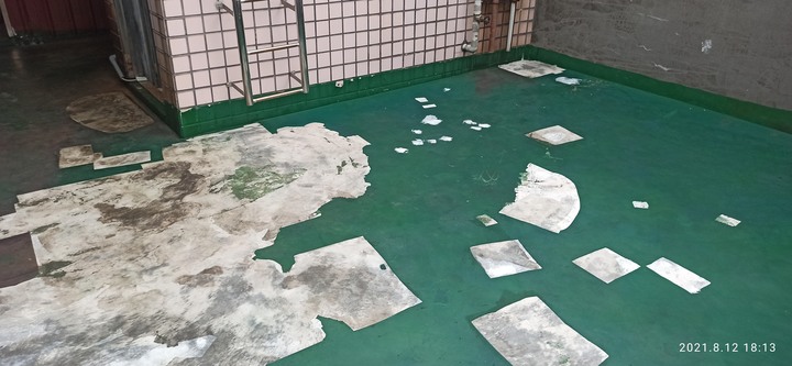 得利倍剋漏頂樓防水施作分享