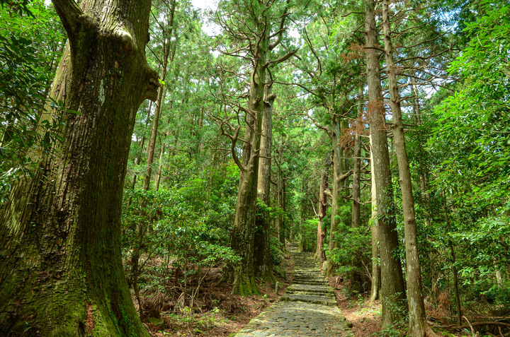 紀伊半島自駕遊-世界遺產巡禮2/4(本州最南端、潮岬、熊野古道、那智瀑布、日本第一大鳥居、伊勢神宮、夫妻岩)