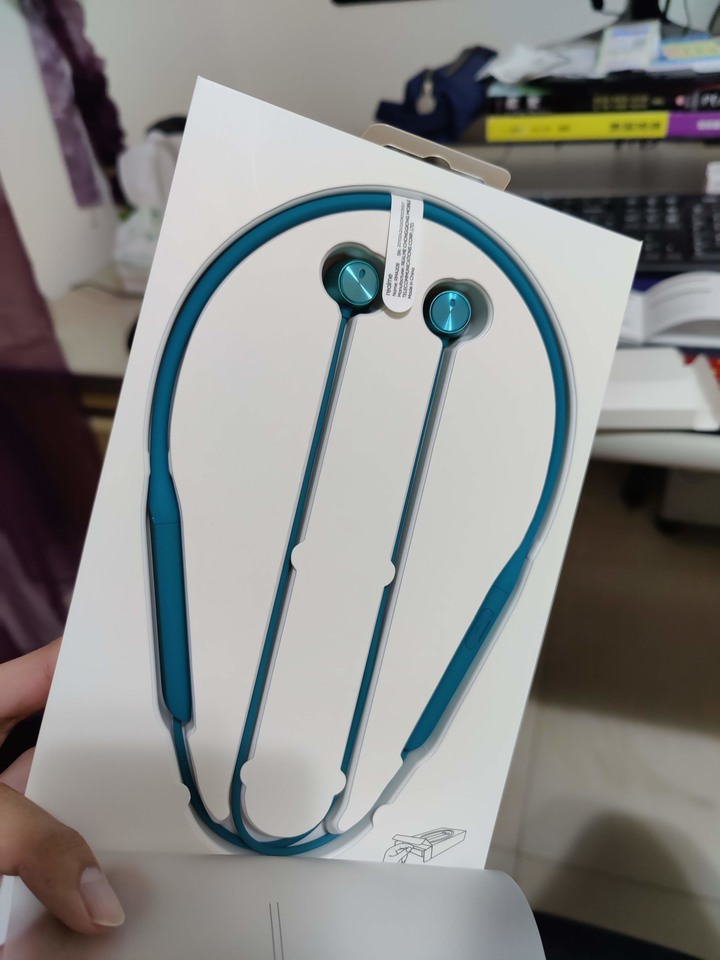 Realme Buds Wireless Pro使用體驗