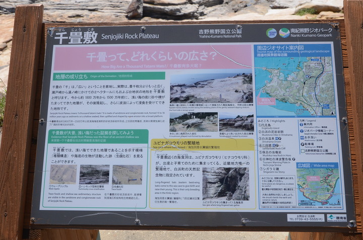 2019紀伊半島自駕遊-世界遺產巡禮1/4(本州最南端、潮岬、熊野古道、那智瀑布、日本第一大鳥居、伊勢神宮、夫妻岩)