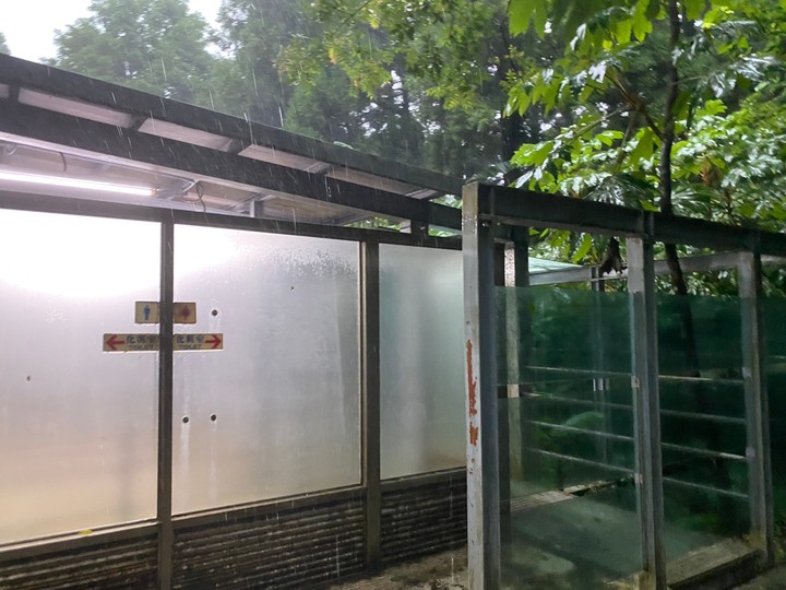 桃園復興｜東眼山自導式步道．自然生態豐富，享受柳杉林的沐浴