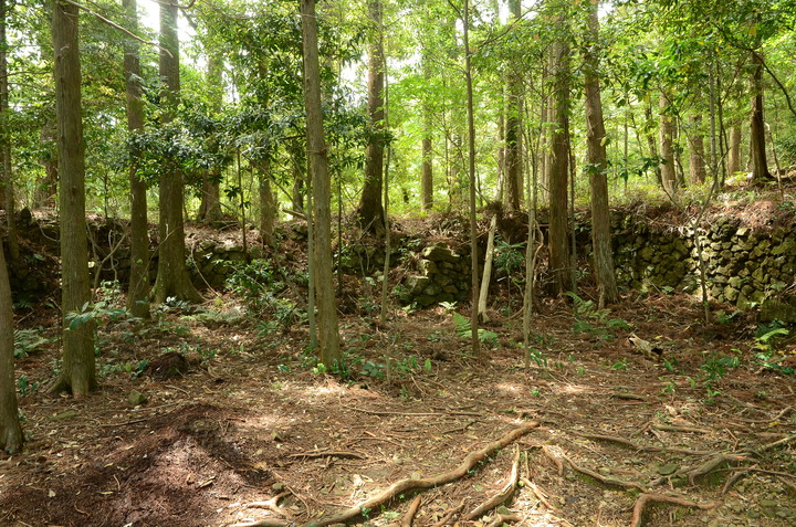 紀伊半島自駕遊-世界遺產巡禮2/4(本州最南端、潮岬、熊野古道、那智瀑布、日本第一大鳥居、伊勢神宮、夫妻岩)