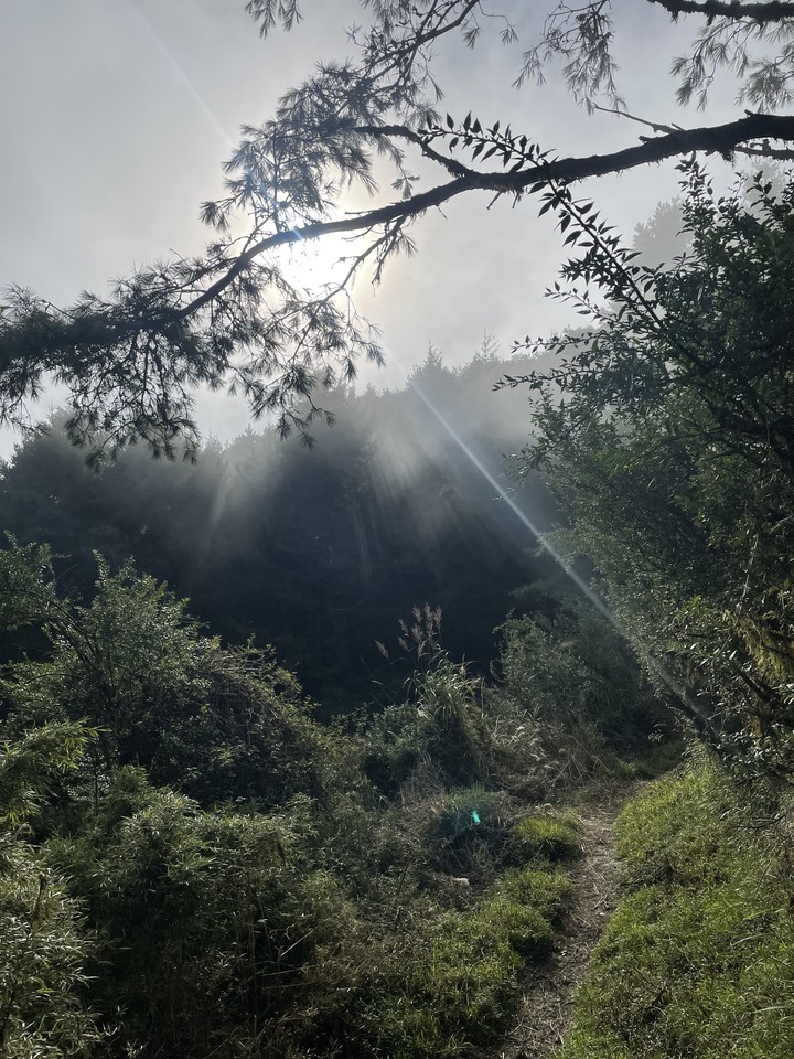 點我看大圖 被悶壞的半日包場南湖大山第一人稱POV SKYRunning