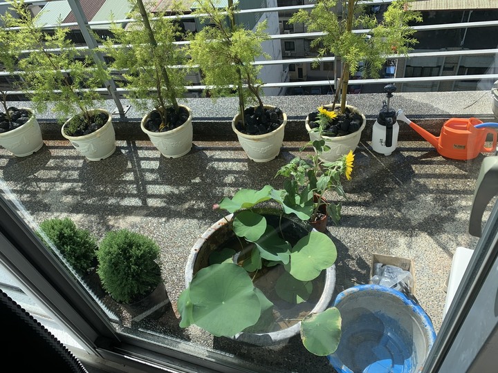 [開箱] 不停變動的陽台