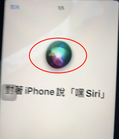 Siri與搜尋 設定問題