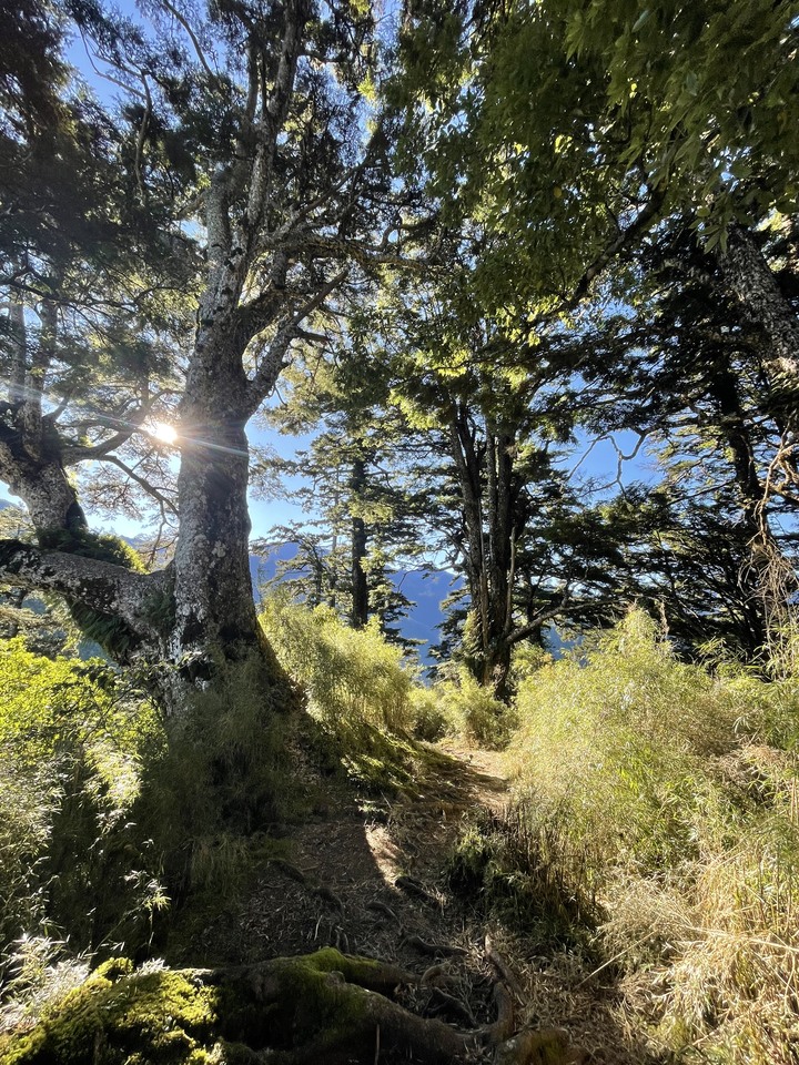 點我看大圖 被悶壞的半日包場南湖大山第一人稱POV SKYRunning