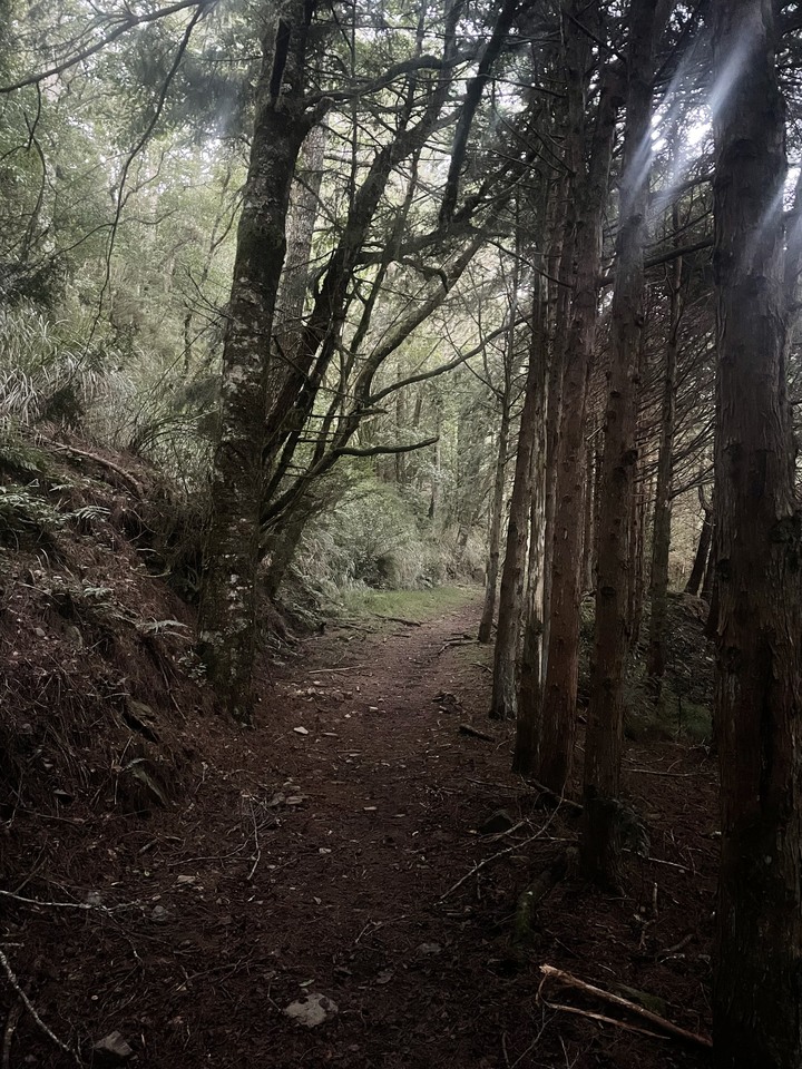 點我看大圖 被悶壞的半日包場南湖大山第一人稱POV SKYRunning