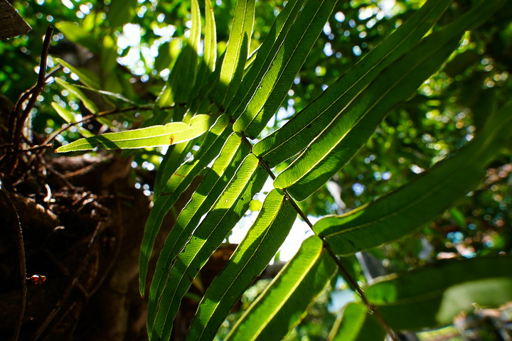 Tamron 11-20mm f/2.8 DiIII-A RXD(B060)評測報告|光學性能優異的 APS-C 超廣角首選!