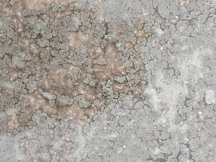 快3年前認真做的屋頂防水為何還是有問題?
