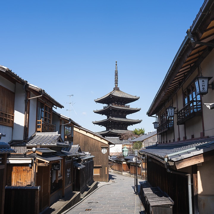 【A7RIV】2021京都的生活 春