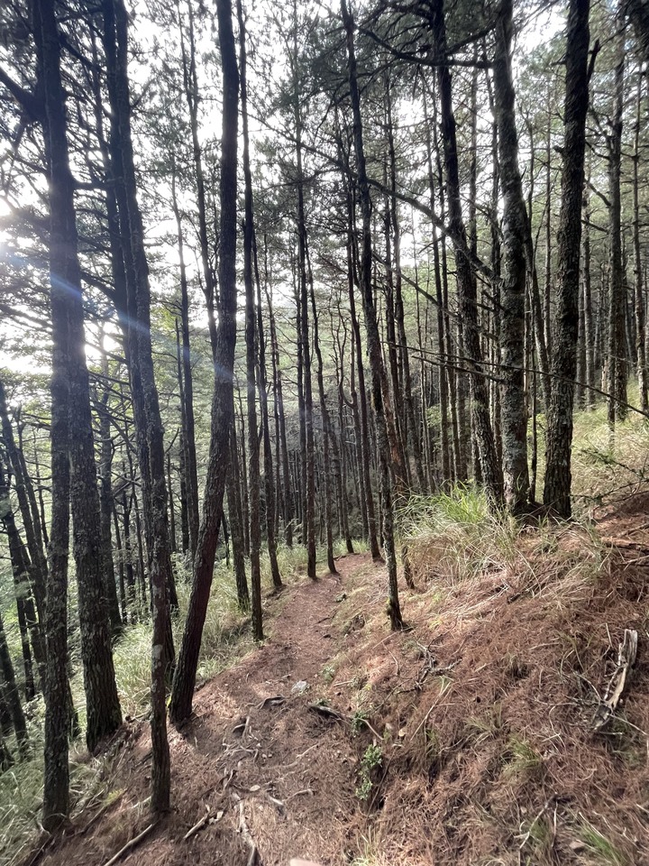 點我看大圖 被悶壞的半日包場南湖大山第一人稱POV SKYRunning