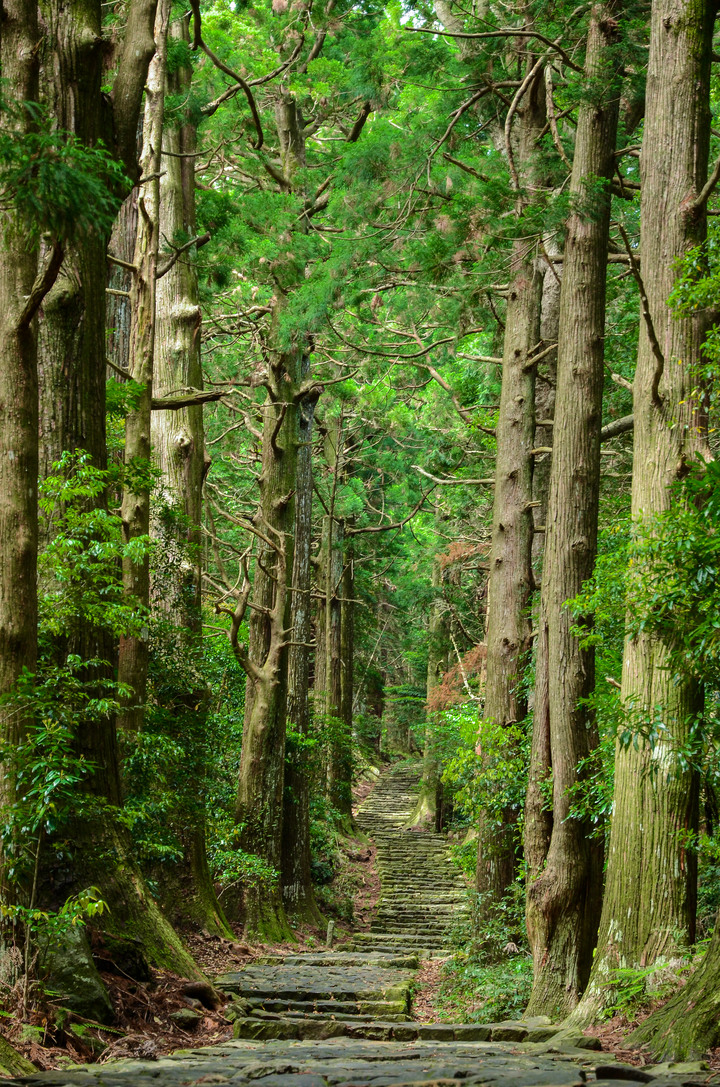 紀伊半島自駕遊-世界遺產巡禮2/4(本州最南端、潮岬、熊野古道、那智瀑布、日本第一大鳥居、伊勢神宮、夫妻岩)