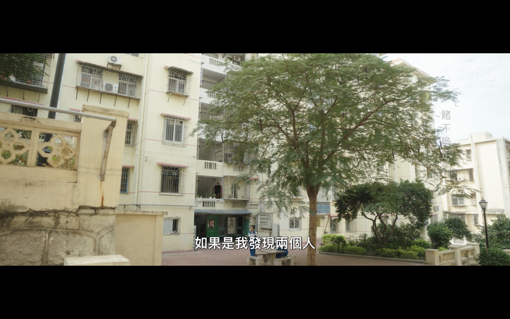 【陸劇】《原來我很愛你》眼睛看不到的高冷帥氣男主，天真俏皮的女主為他一見鐘情的微甜虐劇
