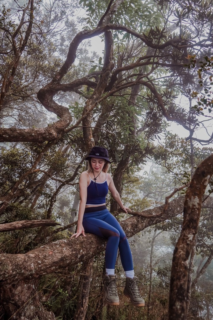 復興三尖之那是山(那結山)遊記