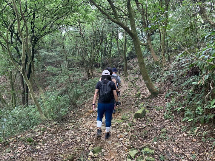 【魚路古道】 白化獼猴現身！昔日繁華先民古道遺跡