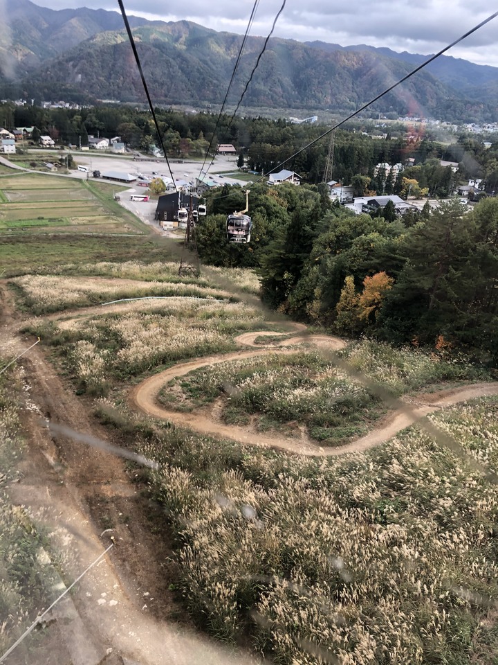 日本白馬 PMBIA 登山車教練證照考試與賞楓自由行