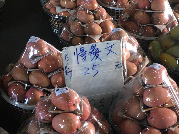 神諭義戰最終回,騎遊玉井(噍吧哖)
