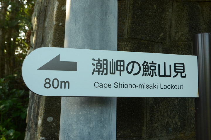 2019紀伊半島自駕遊-世界遺產巡禮1/4(本州最南端、潮岬、熊野古道、那智瀑布、日本第一大鳥居、伊勢神宮、夫妻岩)