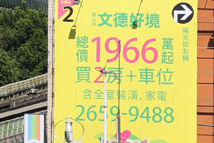 Canon RF 100mm f/2.8L Macro IS USM 評測報告｜散景風格任你變 微距能力傲視同級！