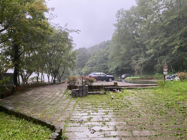 桃園復興｜東眼山自導式步道．自然生態豐富，享受柳杉林的沐浴