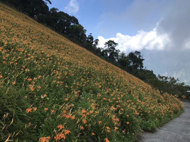 斯卡羅、大龜文之時空旅行（一）