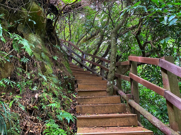 新北中和｜南勢角山．一小時內登頂的小百岳，下山到烘爐地朝聖參拜