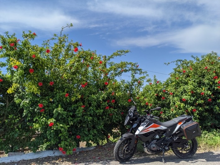 KTM 390ADV的日常:有山、有海、好生活