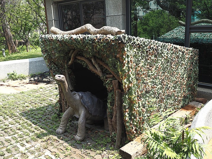台灣昆蟲館 — 親身體驗奇妙的「蟲蟲世界」,新竹公園內特色景點之二
