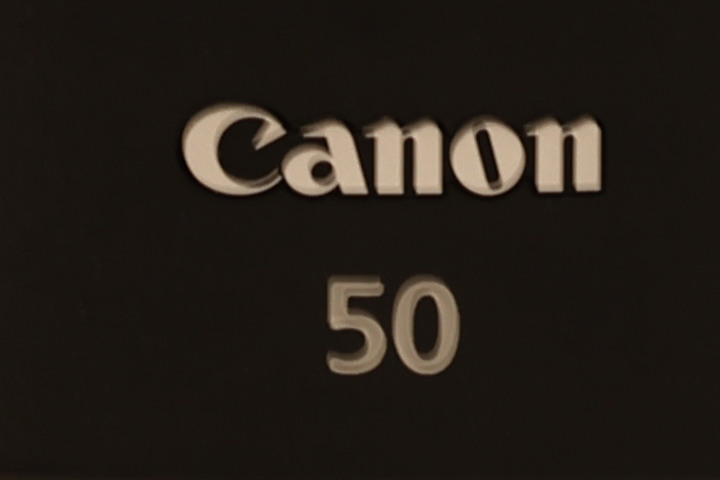 Canon RF 100mm f/2.8L Macro IS USM 評測報告｜散景風格任你變 微距能力傲視同級！