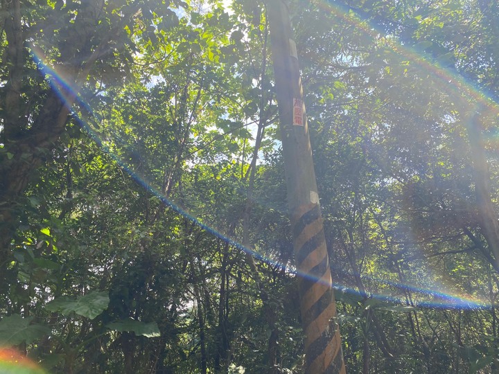台北信義|四獸山.虎山、豹山、獅山、象山,兩小時輕鬆抓獸去