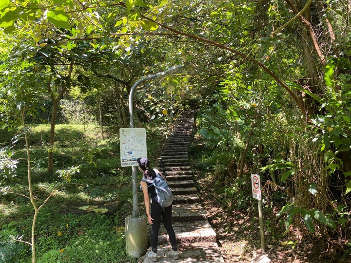台北信義|四獸山.虎山、豹山、獅山、象山,兩小時輕鬆抓獸去