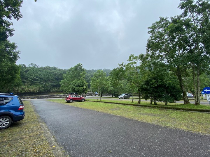 桃園復興｜東眼山自導式步道．自然生態豐富，享受柳杉林的沐浴