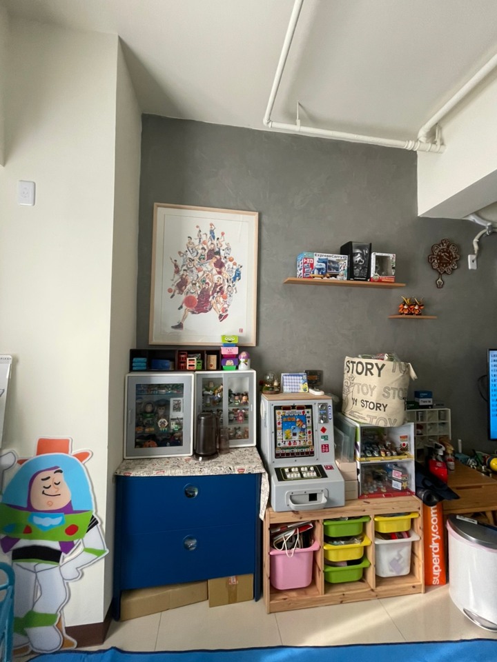 【開箱】圓一個屁孩的夢想~玩總迷的家(全室無裝潢,玩具就是我的裝潢)