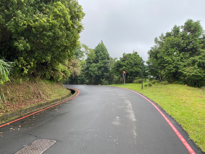 桃園復興｜東眼山自導式步道．自然生態豐富，享受柳杉林的沐浴