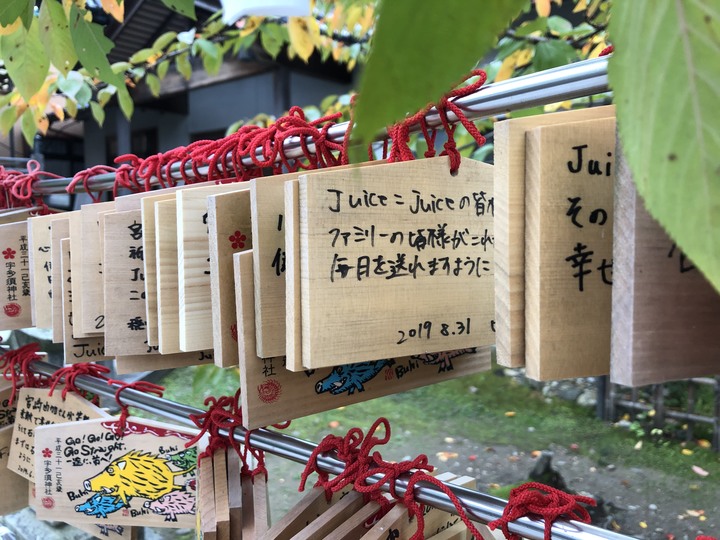日本白馬 PMBIA 登山車教練證照考試與賞楓自由行