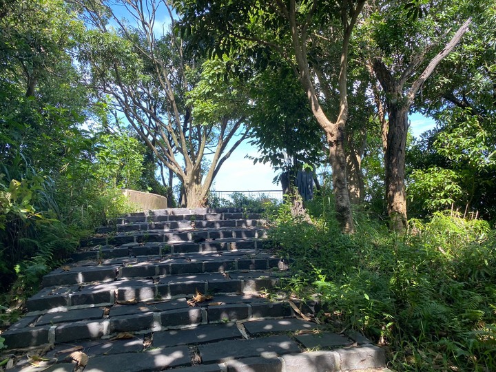 台北信義|四獸山.虎山、豹山、獅山、象山,兩小時輕鬆抓獸去
