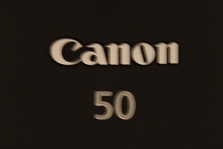 Canon RF 100mm f/2.8L Macro IS USM 評測報告｜散景風格任你變 微距能力傲視同級！