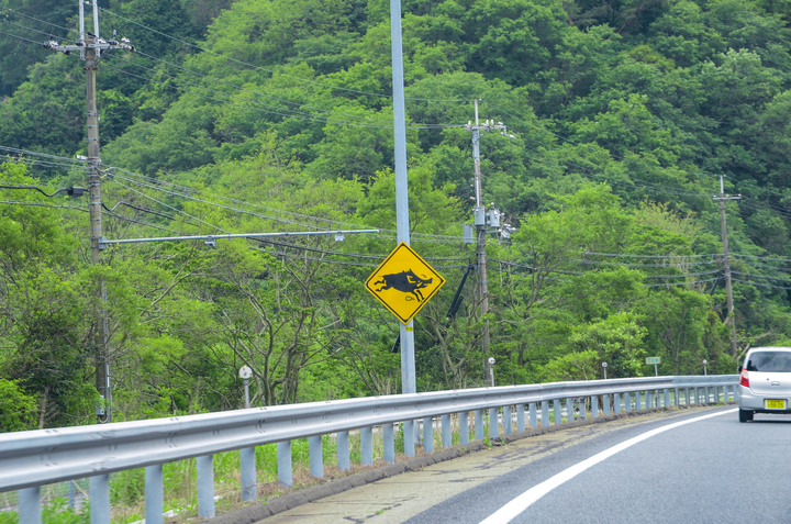 2019紀伊半島自駕遊-世界遺產巡禮1/4(本州最南端、潮岬、熊野古道、那智瀑布、日本第一大鳥居、伊勢神宮、夫妻岩)