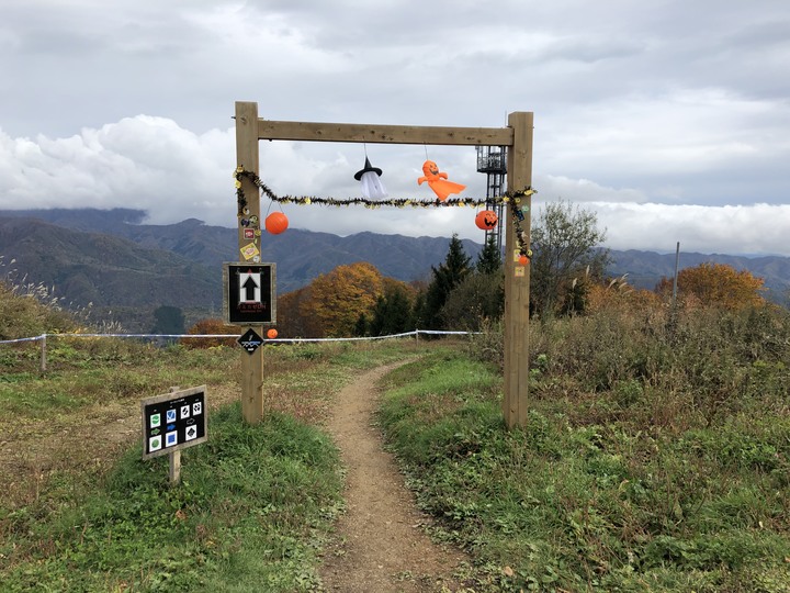 日本白馬 PMBIA 登山車教練證照考試與賞楓自由行