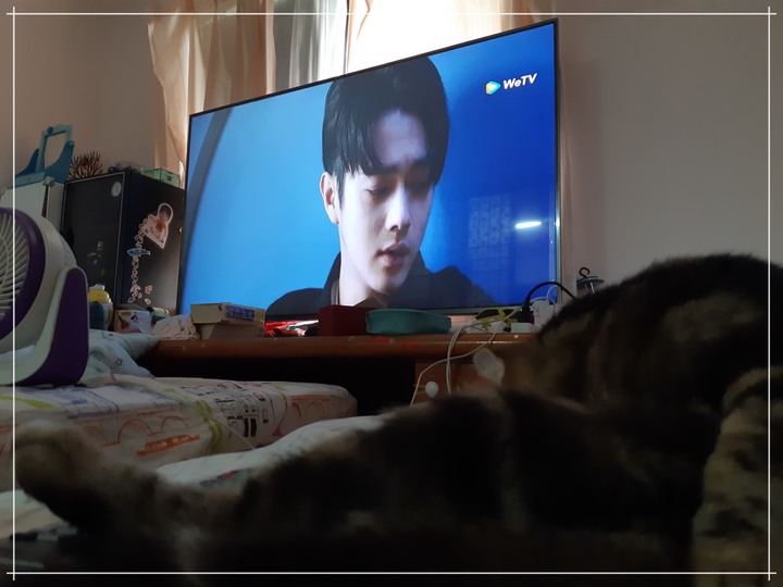 防疫在家靠什麼？就靠Panasonic TH-65JX900W Android TV吧！