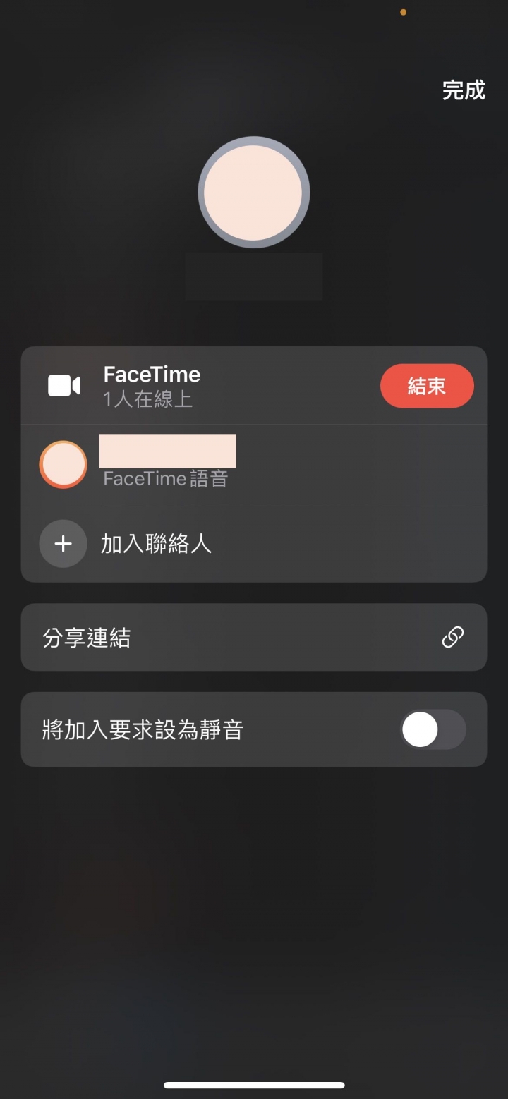 iOS 15 FaceTime 畫面