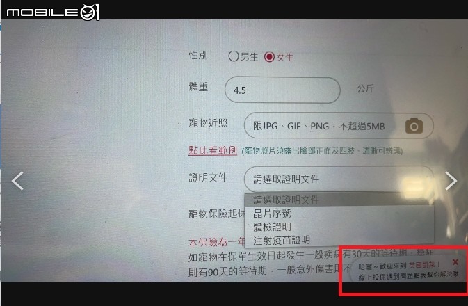 養貓二十年第一次線上投保寵物險
