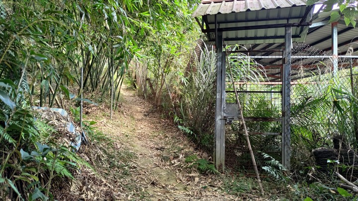深坑步道新光路段