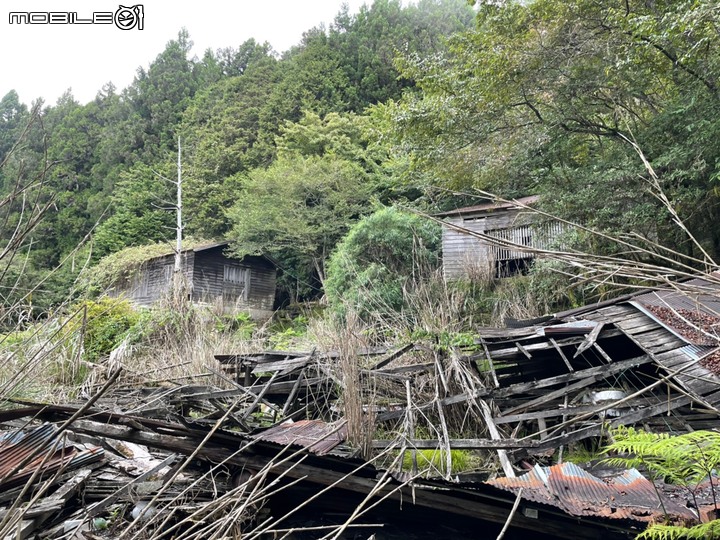 2021.903-907.奇萊東稜訪嵐山工作站出初音山5天4夜(健腳)