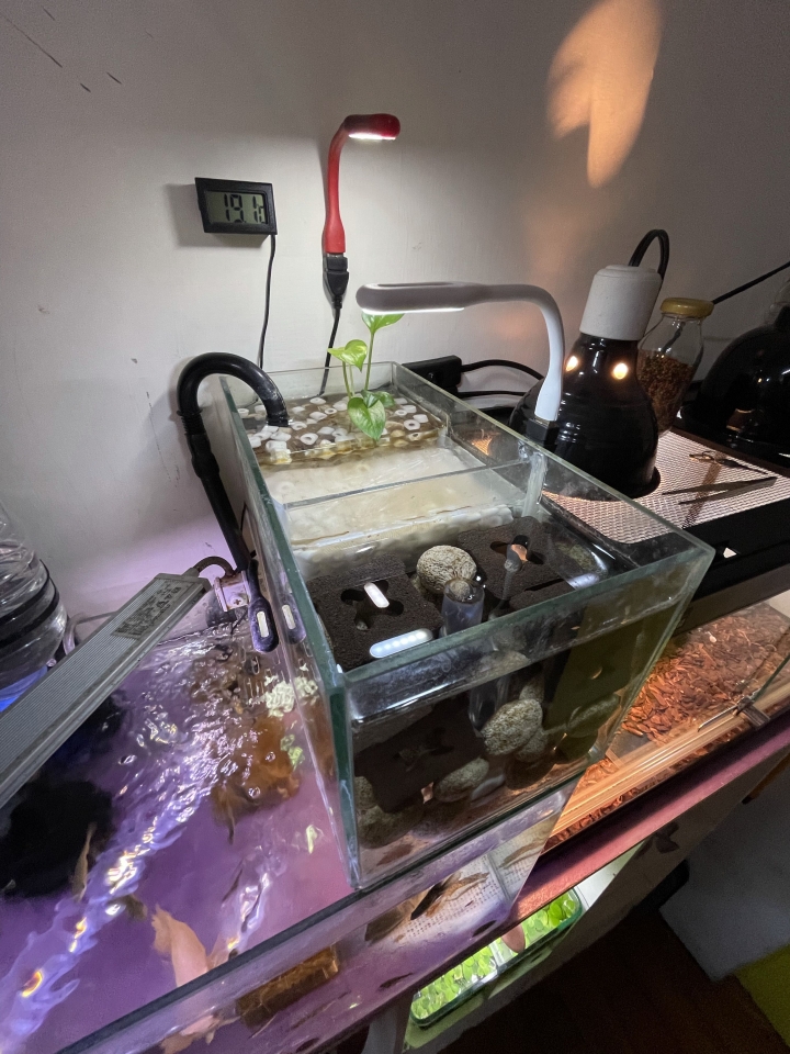 魚缸過濾器嚴重油膜！