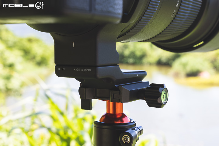 Sigma 150-600mm F5-6.3 DG DN OS Sports 評測報告｜E-Mount 超望遠的性價比首選！