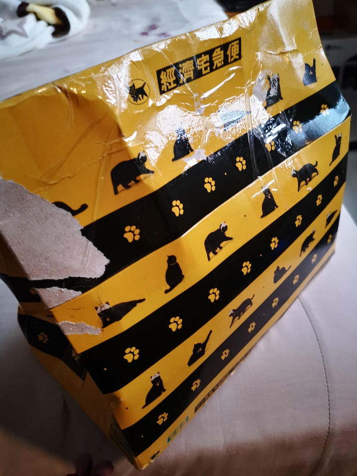 Amazfit GTR 2E 勸世分享文（含檢修）慎重考慮 GTR2E 華米